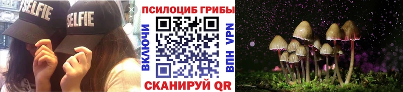 Псилоцибиновые грибы MAGIC MUSHROOMS  как найти   Ногинск 