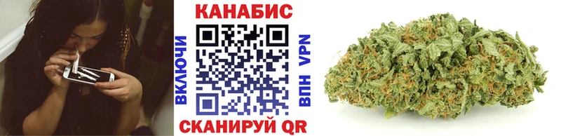 дарнет шоп  Ногинск  Каннабис MAZAR 